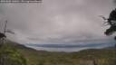 ./images/calvert/fitz-hugh-hecate/20250802/fitz-hugh-hecate20250802_160010M.jpg
