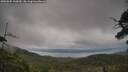 ./images/calvert/fitz-hugh-hecate/20250802/fitz-hugh-hecate20250802_160510M.jpg