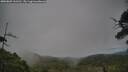 ./images/calvert/fitz-hugh-hecate/20250802/fitz-hugh-hecate20250802_161511M.jpg