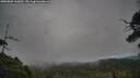 ./images/calvert/fitz-hugh-hecate/20250802/fitz-hugh-hecate20250802_162012M.jpg