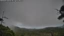 ./images/calvert/fitz-hugh-hecate/20250802/fitz-hugh-hecate20250802_162510M.jpg