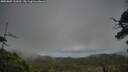 ./images/calvert/fitz-hugh-hecate/20250802/fitz-hugh-hecate20250802_163011M.jpg
