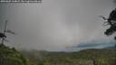 ./images/calvert/fitz-hugh-hecate/20250802/fitz-hugh-hecate20250802_164007M.jpg