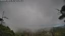 ./images/calvert/fitz-hugh-hecate/20250802/fitz-hugh-hecate20250802_164512M.jpg
