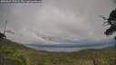 ./images/calvert/fitz-hugh-hecate/20250802/fitz-hugh-hecate20250802_170508M.jpg