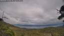 ./images/calvert/fitz-hugh-hecate/20250802/fitz-hugh-hecate20250802_171510M.jpg