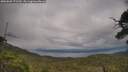 ./images/calvert/fitz-hugh-hecate/20250802/fitz-hugh-hecate20250802_172510M.jpg