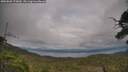 ./images/calvert/fitz-hugh-hecate/20250802/fitz-hugh-hecate20250802_173010M.jpg