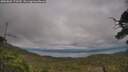 ./images/calvert/fitz-hugh-hecate/20250802/fitz-hugh-hecate20250802_173509M.jpg