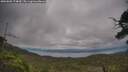 ./images/calvert/fitz-hugh-hecate/20250802/fitz-hugh-hecate20250802_174009M.jpg