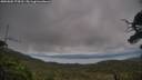 ./images/calvert/fitz-hugh-hecate/20250802/fitz-hugh-hecate20250802_174511M.jpg