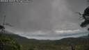 ./images/calvert/fitz-hugh-hecate/20250802/fitz-hugh-hecate20250802_183510M.jpg
