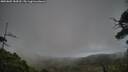 ./images/calvert/fitz-hugh-hecate/20250802/fitz-hugh-hecate20250802_184510M.jpg