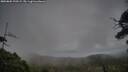 ./images/calvert/fitz-hugh-hecate/20250802/fitz-hugh-hecate20250802_190508M.jpg