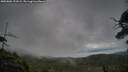 ./images/calvert/fitz-hugh-hecate/20250802/fitz-hugh-hecate20250802_191008M.jpg