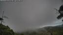 ./images/calvert/fitz-hugh-hecate/20250802/fitz-hugh-hecate20250802_191508M.jpg