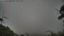 ./images/calvert/fitz-hugh-hecate/20250802/fitz-hugh-hecate20250802_192508M.jpg