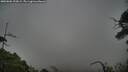 ./images/calvert/fitz-hugh-hecate/20250802/fitz-hugh-hecate20250802_193009M.jpg