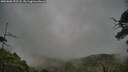 ./images/calvert/fitz-hugh-hecate/20250802/fitz-hugh-hecate20250802_193508M.jpg