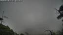 ./images/calvert/fitz-hugh-hecate/20250802/fitz-hugh-hecate20250802_194009M.jpg