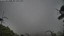 ./images/calvert/fitz-hugh-hecate/20250802/fitz-hugh-hecate20250802_194507M.jpg