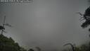 ./images/calvert/fitz-hugh-hecate/20250802/fitz-hugh-hecate20250802_195008M.jpg