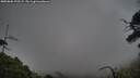 ./images/calvert/fitz-hugh-hecate/20250802/fitz-hugh-hecate20250802_195508M.jpg