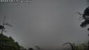 ./images/calvert/fitz-hugh-hecate/20250802/fitz-hugh-hecate20250802_200009M.jpg