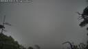 ./images/calvert/fitz-hugh-hecate/20250802/fitz-hugh-hecate20250802_200508M.jpg
