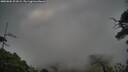 ./images/calvert/fitz-hugh-hecate/20250802/fitz-hugh-hecate20250802_201009M.jpg