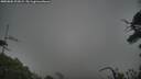 ./images/calvert/fitz-hugh-hecate/20250802/fitz-hugh-hecate20250802_202008M.jpg
