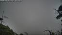 ./images/calvert/fitz-hugh-hecate/20250802/fitz-hugh-hecate20250802_202508M.jpg
