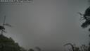 ./images/calvert/fitz-hugh-hecate/20250802/fitz-hugh-hecate20250802_203007M.jpg
