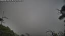./images/calvert/fitz-hugh-hecate/20250802/fitz-hugh-hecate20250802_203508M.jpg