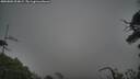 ./images/calvert/fitz-hugh-hecate/20250802/fitz-hugh-hecate20250802_204009M.jpg