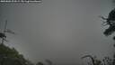 ./images/calvert/fitz-hugh-hecate/20250802/fitz-hugh-hecate20250802_204509M.jpg