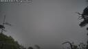 ./images/calvert/fitz-hugh-hecate/20250802/fitz-hugh-hecate20250802_205008M.jpg