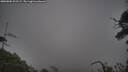 ./images/calvert/fitz-hugh-hecate/20250802/fitz-hugh-hecate20250802_205509M.jpg