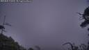 ./images/calvert/fitz-hugh-hecate/20250802/fitz-hugh-hecate20250802_212009M.jpg