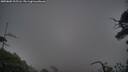 ./images/calvert/fitz-hugh-hecate/20250802/fitz-hugh-hecate20250802_212506M.jpg