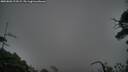 ./images/calvert/fitz-hugh-hecate/20250802/fitz-hugh-hecate20250802_213509M.jpg