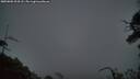 ./images/calvert/fitz-hugh-hecate/20250802/fitz-hugh-hecate20250802_214507M.jpg