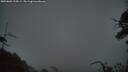 ./images/calvert/fitz-hugh-hecate/20250802/fitz-hugh-hecate20250802_215008M.jpg