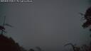 ./images/calvert/fitz-hugh-hecate/20250802/fitz-hugh-hecate20250802_220008M.jpg