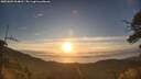 ./images/calvert/fitz-hugh-hecate/20250803/fitz-hugh-hecate20250803_064011M.jpg