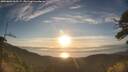 ./images/calvert/fitz-hugh-hecate/20250803/fitz-hugh-hecate20250803_065509M.jpg