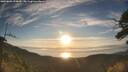 ./images/calvert/fitz-hugh-hecate/20250803/fitz-hugh-hecate20250803_070010M.jpg