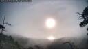 ./images/calvert/fitz-hugh-hecate/20250803/fitz-hugh-hecate20250803_073510M.jpg