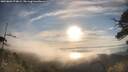 ./images/calvert/fitz-hugh-hecate/20250803/fitz-hugh-hecate20250803_074009M.jpg