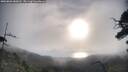 ./images/calvert/fitz-hugh-hecate/20250803/fitz-hugh-hecate20250803_080012M.jpg